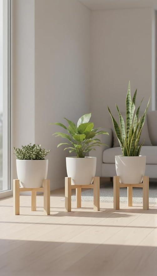 about-img 51v3AjzrnL. SY879