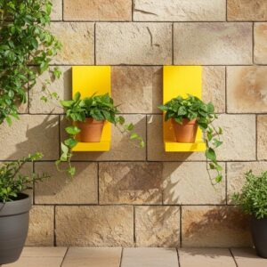 Wooden Wall Plant Shelf (Pack of 2)