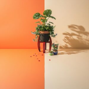 modern wooden planter stand (2 tier)