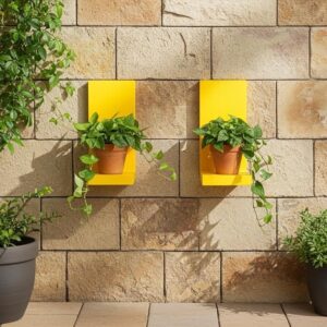 wooden wall plant shelf (pack of 2)