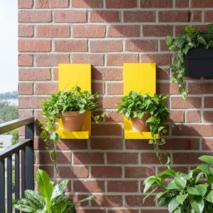 wooden wall plant shelf (pack of 2)