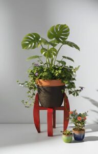 modern wooden planter stand (2 tier)